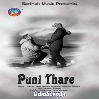 Puni Thare (2016)