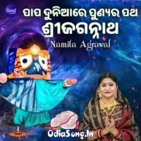 Papa Duniare Punyara Patha Sri Jagannatha By Namita Agarwal