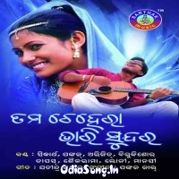 Tama Chehera Bhari Sundara (2003)