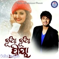 Nua Nua Priya (Sonu Nigam)