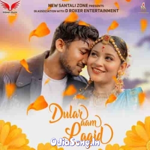 Dular Aam Lagid (Santali Song).mp3