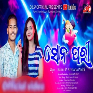 Sonpari (Sambalpuri).mp3