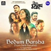 Bedum Barsha