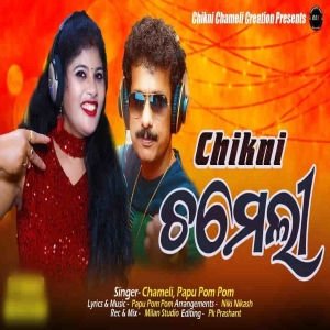 Chikni Chameli (Papu Pom Pom).mp3