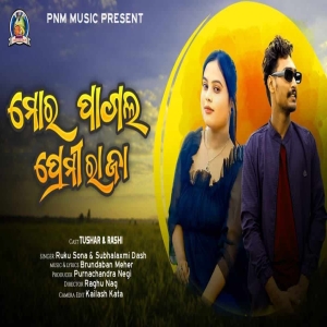 Mor Pagal Premi Raja.mp3