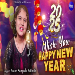 Wish You Happy New Year.mp3