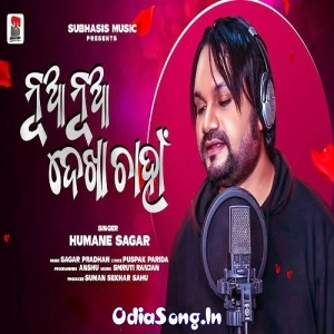 Nua Nua Dekha Chaha (Humane Sagar).mp3