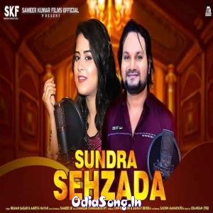 Sundra Sehzada (Humane Sagar, Amrita Nayak).mp3