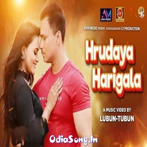 Hrudaya Harigala.mp3