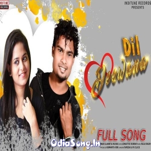 Dil Deewana Sambalpuri.mp3