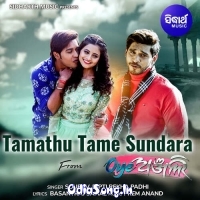 Tamathu Tame Sundara (Oye Anjali)