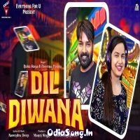 Dil Deewana